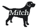 mitch starcreek(23-07-2013)